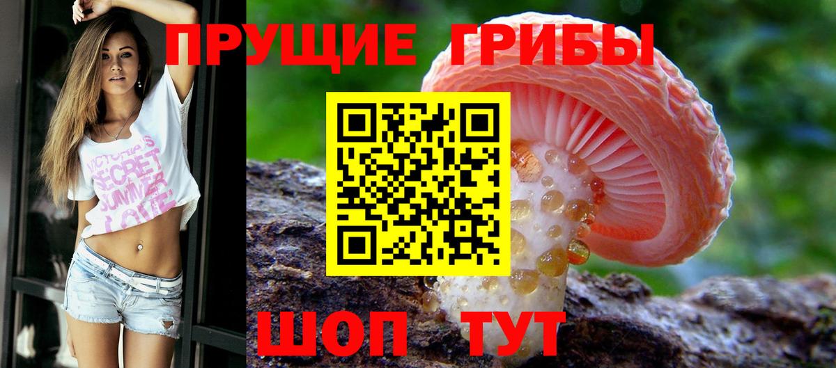 Галлюциногенные грибы мухоморы Гагарин