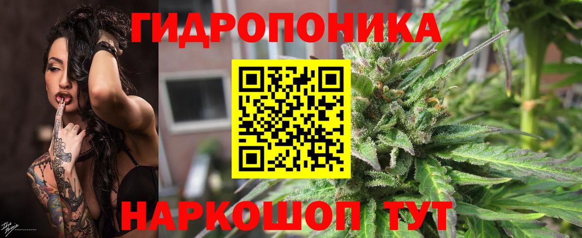 Шишки марихуана White Widow  Вход с VPN  Шишки марихуана THC 21%  Конопля ГИДРОПОН  Конопля SATIVA & INDICA  Гагарин 